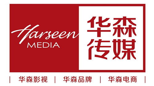 简视传媒 山东华森视觉文化传媒的视觉叙事艺术